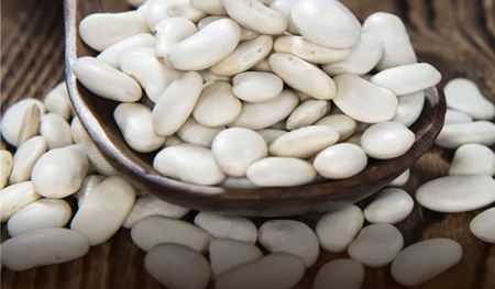 White Kidney Bean Extract Powder material White Kidney Bean Extract Powder material