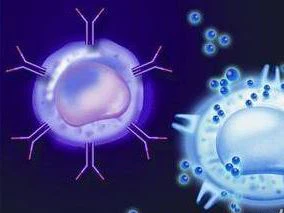 Immune function