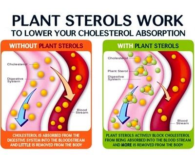 phytosterols