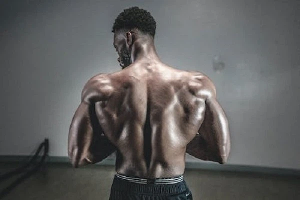 Supplements for Build Muscle