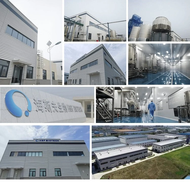 factory factory