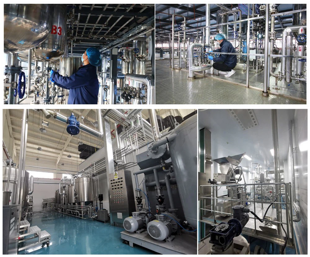 factory & equipment