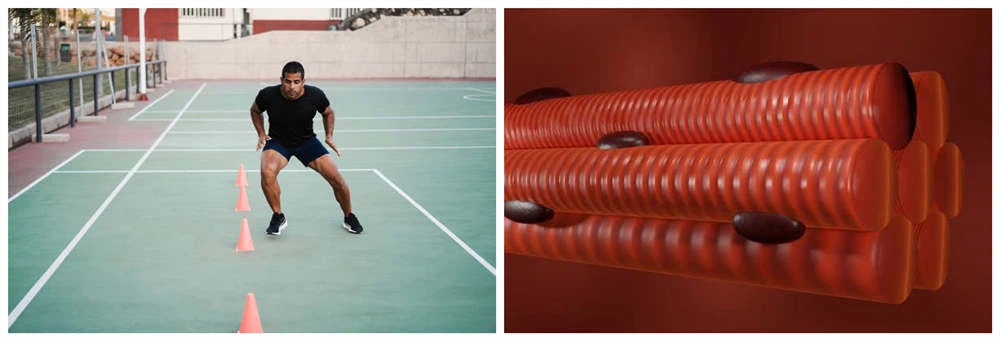 promote blood circulation promote blood circulation