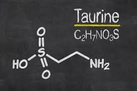 Qual é a função da taurina nos animais?
