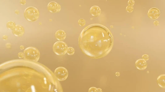 info-612-344 info-612-344