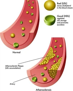 info-636-788 info-636-788
