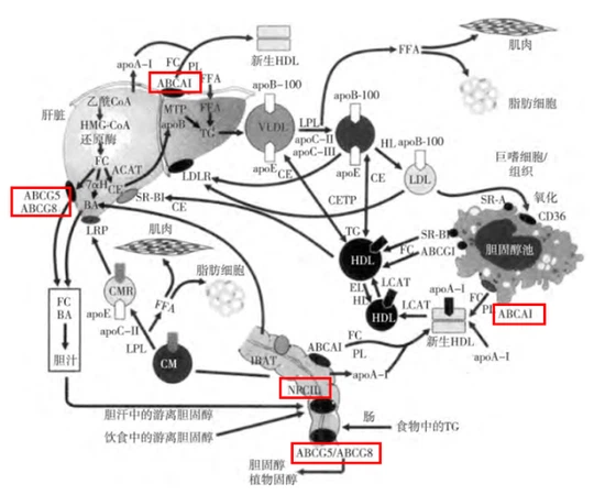 info-637-521 info-637-521