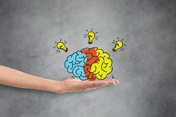 product-612-408 product-612-408