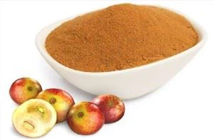 Extrato de camu camu em pó